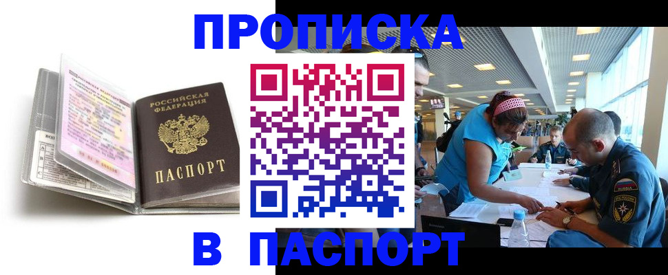 временная регистрация поиск в Коле